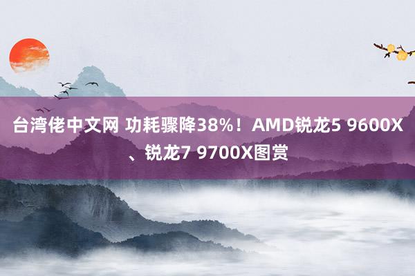 台湾佬中文网 功耗骤降38%！AMD锐龙5 9600X、锐龙7 9700X图赏