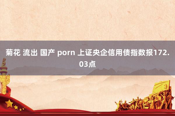 菊花 流出 国产 porn 上证央企信用债指数报172.03点