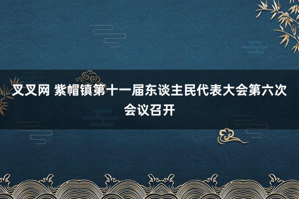 叉叉网 紫帽镇第十一届东谈主民代表大会第六次会议召开