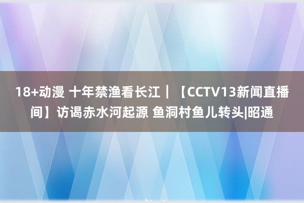 18+动漫 十年禁渔看长江︱【CCTV13新闻直播间】访谒赤水河起源 鱼洞村鱼儿转头|昭通